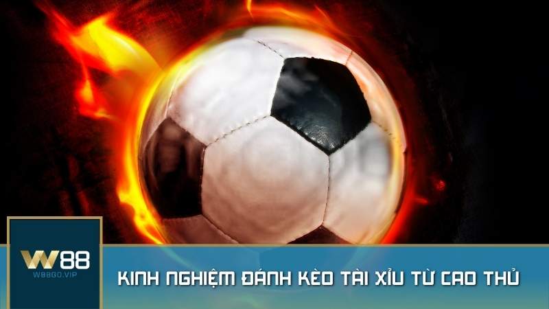 Kinh nghiệm đánh kèo Tài Xỉu từ cao thủ