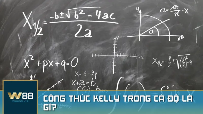 Công thức Kelly trong cá độ là gì? Hướng dẫn từng bước để chiến thắng dài hạn