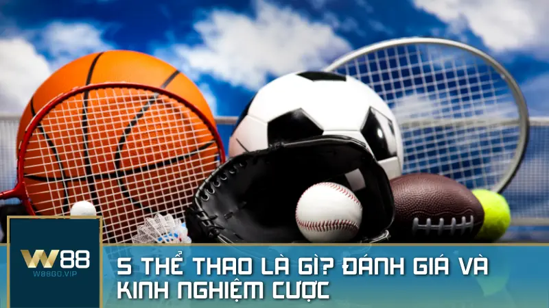 S Thể Thao – Sảnh chơi uy tín cho người yêu thể thao