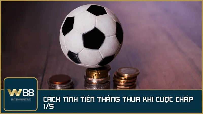 Chi tiết về cách tính lợi nhuận hoặc thua lỗ khi tham gia kèo chấp 0.2.