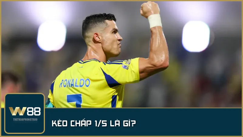 Tìm hiểu về kèo chấp 1/5 trong cá cược bóng đá và cách áp dụng hiệu quả