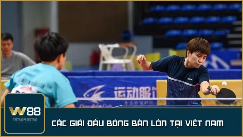 Các giải đấu bóng bàn lớn tại Việt Nam – nơi phát hiện và bồi dưỡng những tài năng trẻ, góp phần nâng tầm bóng bàn nước nhà.